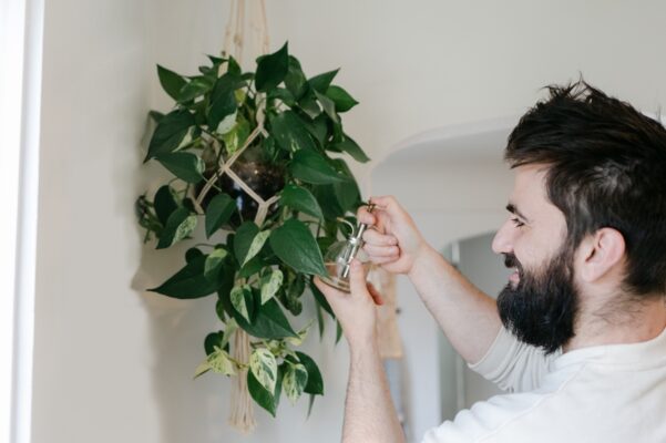 10 Indoor Hanging Plants To (Ahem) Elevate Your Home's Greenery
