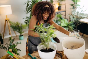 What To Avoid in Potting Mix if You Don't Want Your Houseplants To Die, According to a Soil Scientist