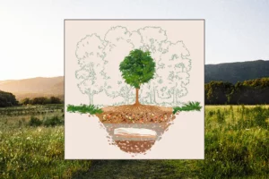 Meet the New Eco Burial Company That Will Turn You Into a Tree When You Die, Naturally